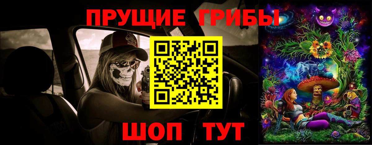 Псилоцибиновые грибы GOLDEN TEACHER Новокубанск