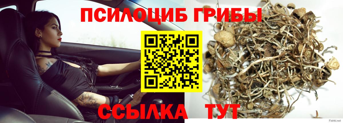 Новокубанск  Псилоцибиновые грибы Psilocybine cubensis  Галлюциногенные грибы Magic Shrooms  Вход с VPN 